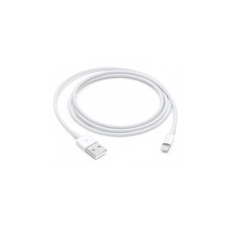 Lightning to USB Cable (1 m) Lightning to USB Cable (1 m)