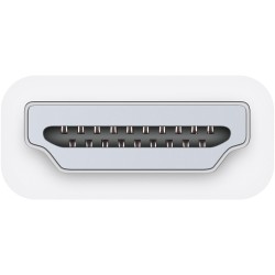 Apple HDMI to DVI Adapter