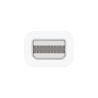 Apple Thunderbolt to FireWire Adapter