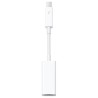 Thunderbolt to Gigabit Ethernet Adapter